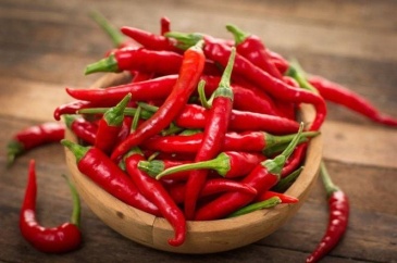 Bài thuốc trị bệnh từ quả ớt